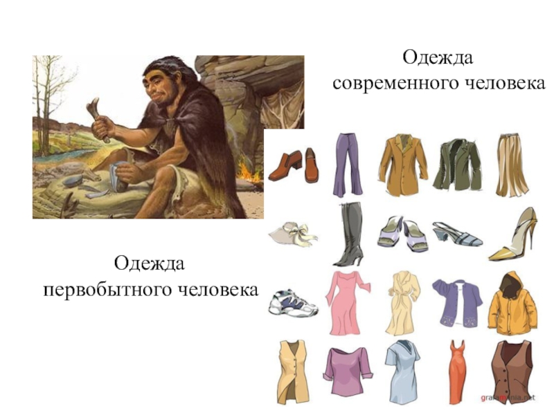 Одежда древних людей картинки для детей