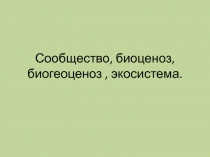 Презентация по биологии на тему сообщество,биоценоз,биогеоценоз,экосистема
