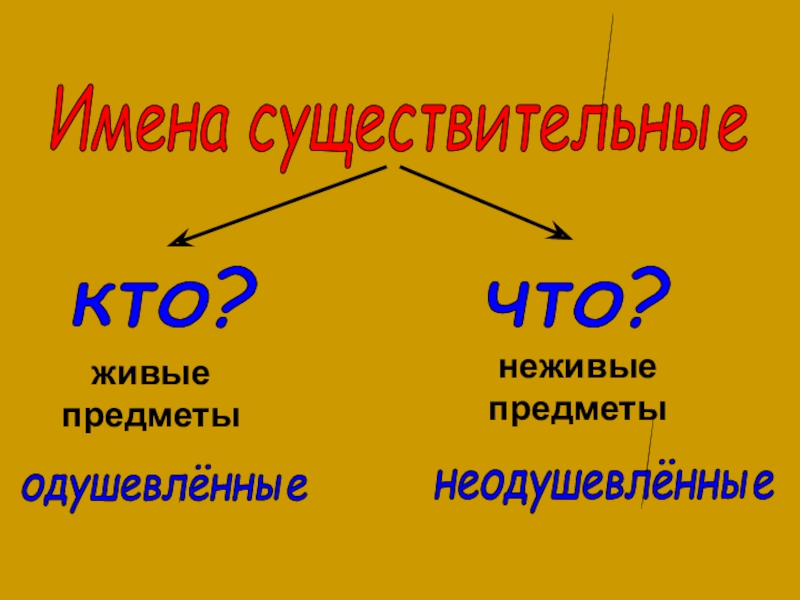 Герой это одушевленное или неодушевленное. Одушевлённые и неодушевлённые имена существительные. Одушевлённые и неодушевлённые имена существительные 2 класс. Одушевленные и неодушевленные предметы. Одушевленные и неодушевленные вещи в гражданском.