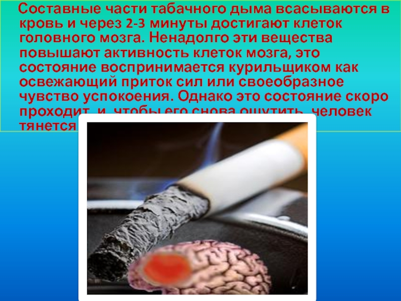 Влияние части. Составные части табачного дыма. Составные части табака. Табачный дым и его составные части. Влияние сигаретного дыма на организм.