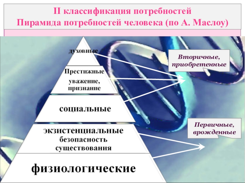 Фундаментальные потребности. Классификация потребностей человека. 10 Основных потребностей человека. 14 Основных потребностей человека. Хендерсон пирамида потребностей.