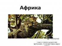 ПРЕЗЕНТАЦИЯ ПО ОКРУЖАЮЩЕМУ ЯЗЫКУ 4 КЛАСС