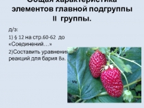 Общая характеристика элементов 2 группы, главной подгруппы.