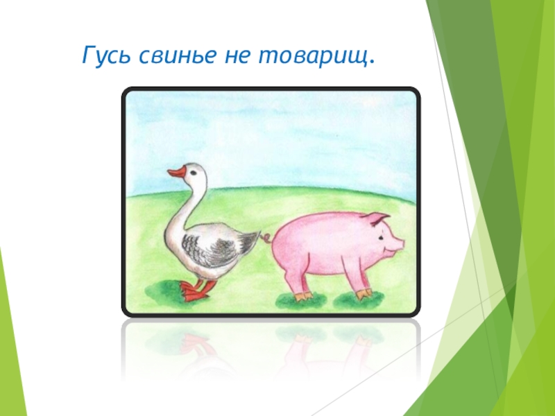 Поросенок гуся. Гусь свинье не товарищ. Кусь свинье не тоааришь. Гусь свинье не товарищ картинки. Гусь и свинья.