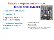 Презентация по биологии Охраняемые птицы Псковщины (5 класс)