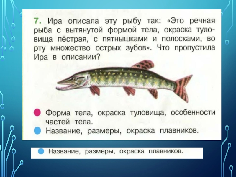 Проверим себя и оценим свои достижения по разделу природа 2 класс школа россии презентация