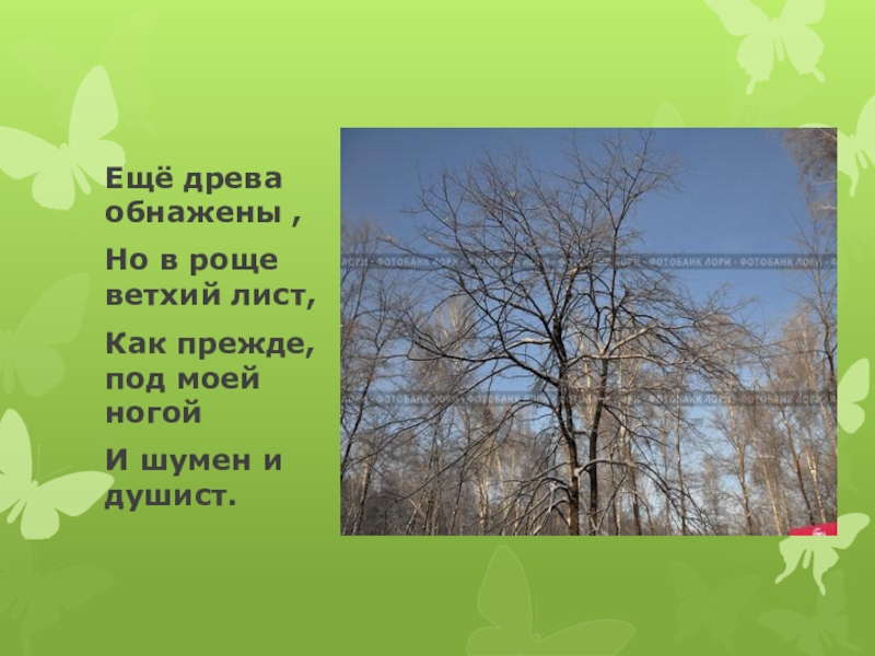 Баратынский как воздух чист. Еще древа обнажены, но в роще Ветхий лист. Е Баратынский Весна Весна. Баратынский 4 класс Весна Весна. Литературное чтение 4 класс Баратынский Весна Весна презентация.