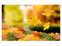 Презентация по познавательному развитию на тему Осень