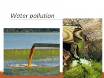 Presentation Water pollution 11 form