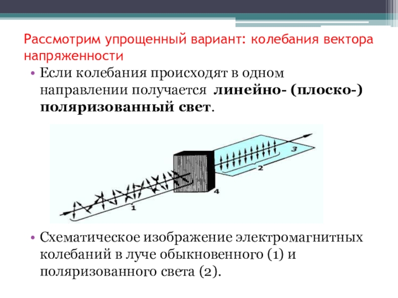 Направление колебаний. Направление колебаний в плоскополяризованном свете. Колебания вектора линейно поляризованного света. Колебания вектора напряженности. Направление колебаний вектора е в плоскополяризованном свете.