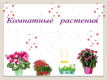 Презентация по окружающему миру на тему Комнатные растения