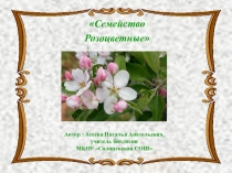 Презентация по биологии на тему Семейство Розоцветные