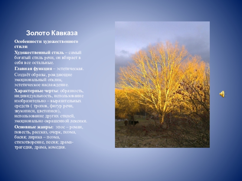 Золото КавказаОсобенности художественного стиля:Художественный стиль – самый богатый стиль речи, он вбирает в себя все остальные.Главная функция