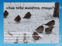 Исследовательская работа Как тебе живется, птица