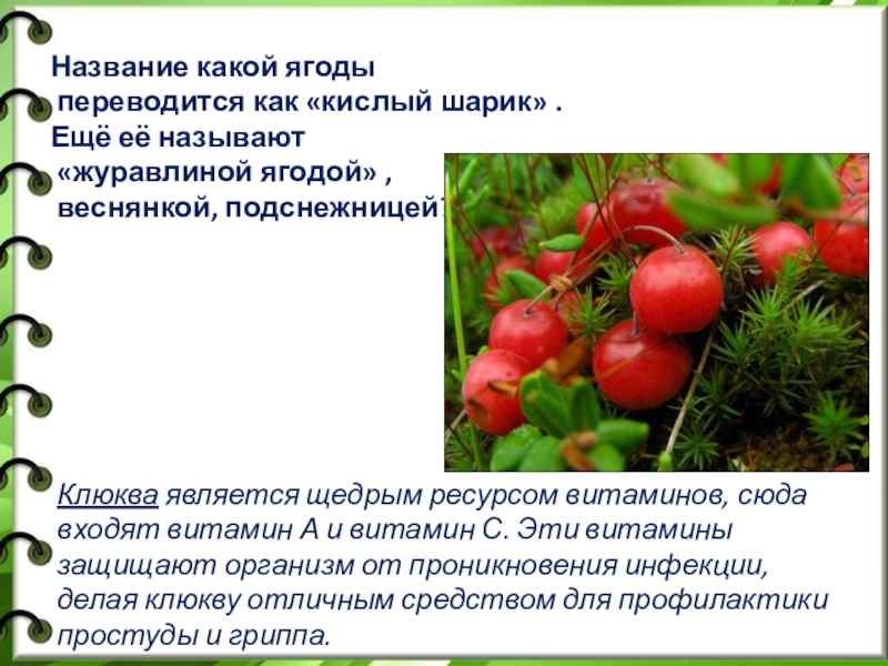 Какие овощи являются ягодами. Какую ягоду называют журавлиной. Как называется кислая ягода. Как называется зеленая ягода кислая. К кислым ягодам относят.