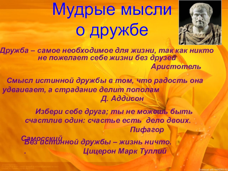 Дружба как ценность в жизни подростка проект