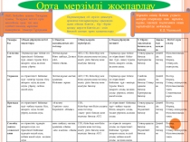 Орта мерзімді жоспарлау