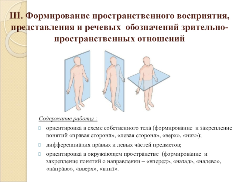 Формирование пространства. Формирование пространственная восприятия и представления. Формирование пространственных отношений. Развитие речевых обозначений зрительно-пространственных отношений. 4. Формирование пространственного восприятия и представлений.