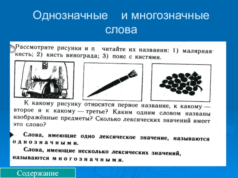 Предложения с многозначными словами. Однозначные и многозначные слова. Кисть многозначное слово. Однозначные слова. Несколько значений слова кисть.