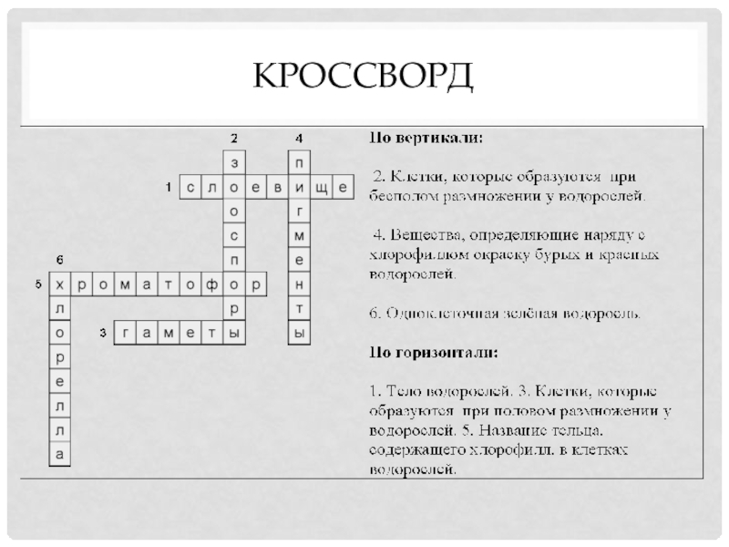 Кроссворд на тему водоросли