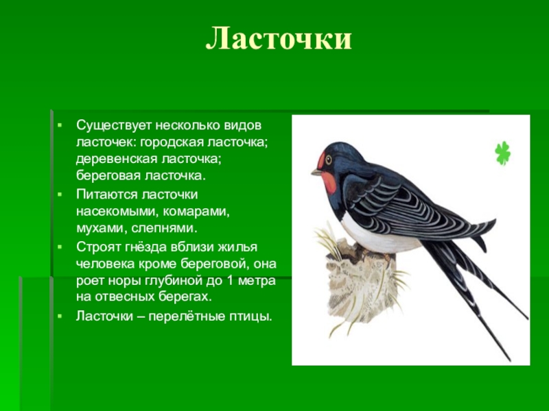 На какую тему можно сделать презентацию по биологии 7 класс