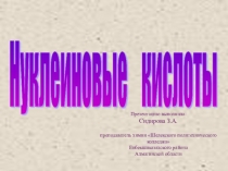 Презентация по биологии на тему Нуклеиновые кислоты