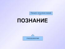 Презентация по теме Познание