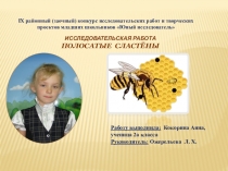 Презентация к исследовательской работе Пчёлы - полосатые сластёны