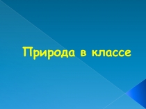 Презентация по окружающему миру на тему Природа в классе (1 класс)