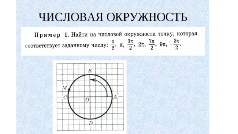 алгебра 10 класс тригонометрические функции числовая окружность. самостоятельные работы 10 класс алгебра числовая окружность. числовая окружность задачи. алгебра 10 класс тригонометрические функции числовая окружность. задания на числовую окружность 10 класс.