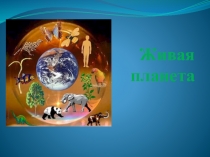 Презентация по внеклассному занятию по окружающему миру на тему Живая планета