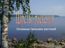 Презентация к урокуОсновные признаки растений