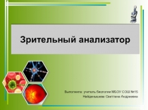 Презентация по биологии Зрительный анализатор