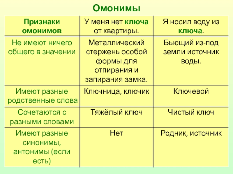 Презентация по русскому языку 5 класс омонимы