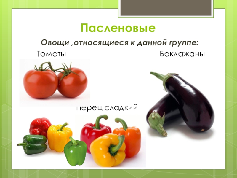 Пасленовые овощи это. Помидоры баклажаны перец относятся к группе. Баклажаны относится к группе овощей. Помидоры, баклажаны, перец относятся к группе овощей:. Что относится к томатным овощам.