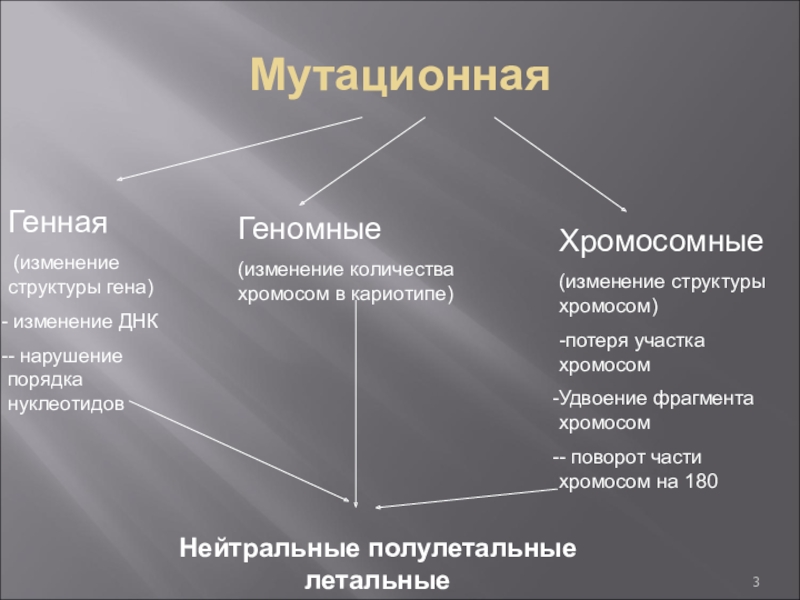 Изменчивость гена. Генная мутационная изменчивость. Генная изменчивость это в биологии. Генная геномная мутационная изменчивость это. Характер изменчивости генной геномной и хромосомной модификации.