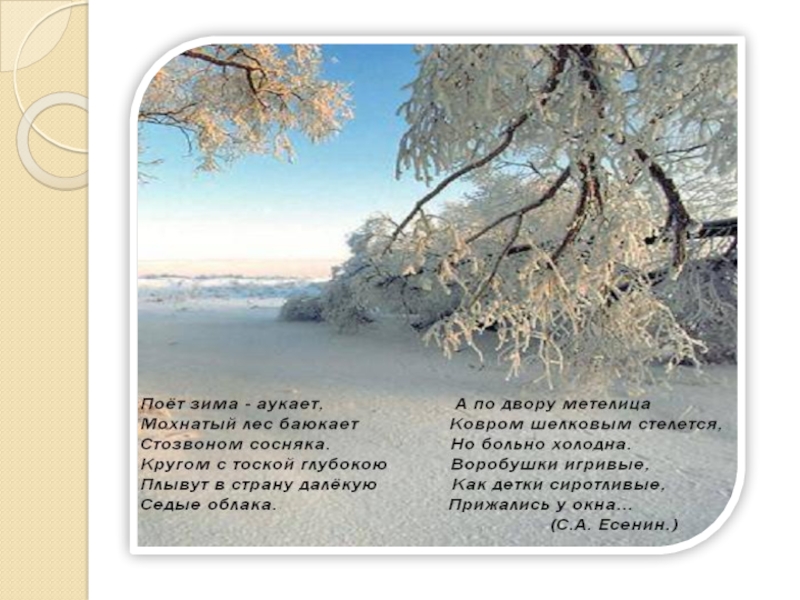 Исполнил стихотворение. Есенин поёт зима аукает стих. Стихотворение поёт зима аукает Есенин. Стихотворение Есенина поет зима аукает. Стих поёт зима.