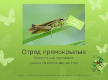 Презенатция по биологии на тему Отряд прямокрылые (7 класс)
