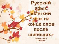 Презентация по русскому языку Мягкий знак на конце шипящих(4класс)