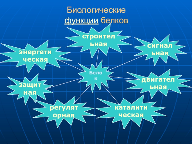 Биологические возможности. Биологические функции белков энергетическая. Каталитическая строительная защитная двигательная. Сигнальная двигательная защитная функция. Функции биоресурсов.