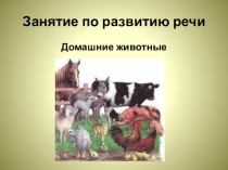 Занятие по развитию речи. Домашние животные