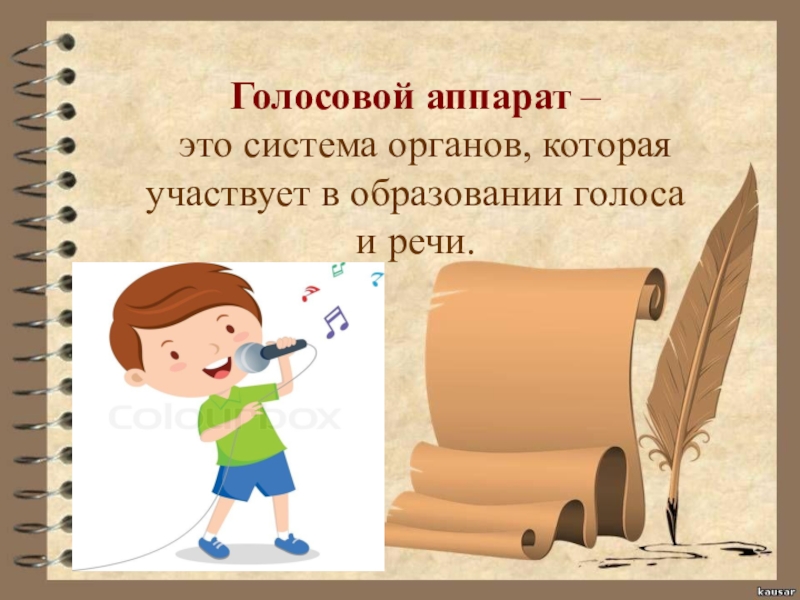 Образование голоса. Что участвует в образовании голоса. Голосовой аппарат ребенка. Образование голоса картинка. Плакат вокальный аппарат.