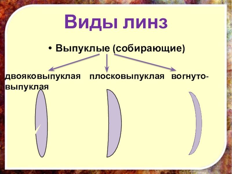 Вид линзы 6 букв. Виды собирающих линз. Выпуклая линза. Виды выпуклых линз. Собирающая двояковыпуклая линза.