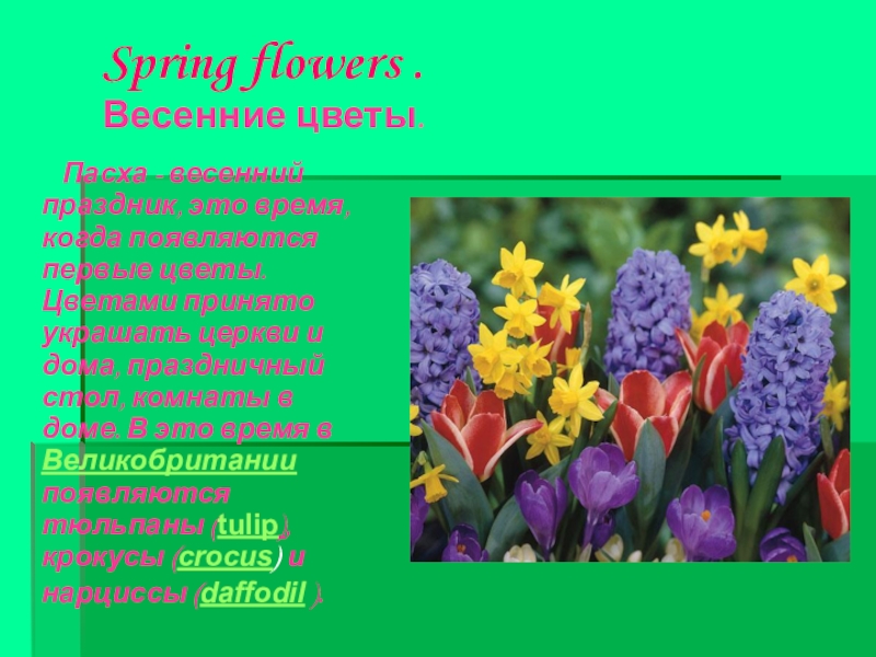 Весенние цветы 2 класс. Весенние цветы для презентации. Весенние цветы на английском. Весенние цветы для текста. Весенние цветы 4 класс технология презентация.
