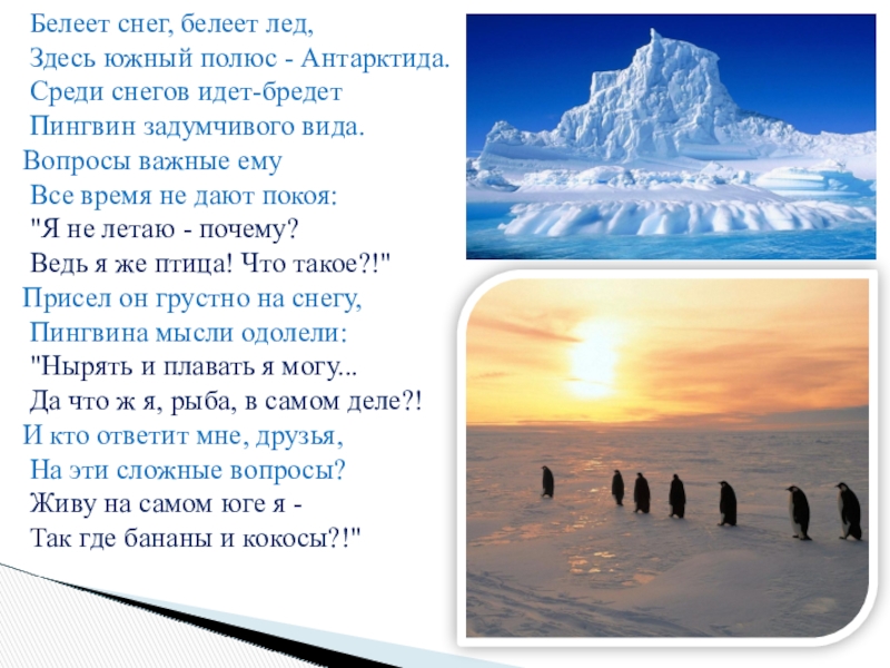 Южный здесь. Белеет снег Белеет лед. Почему лед Белеет. Южный полюс текст. Кто это там / среди снегов.