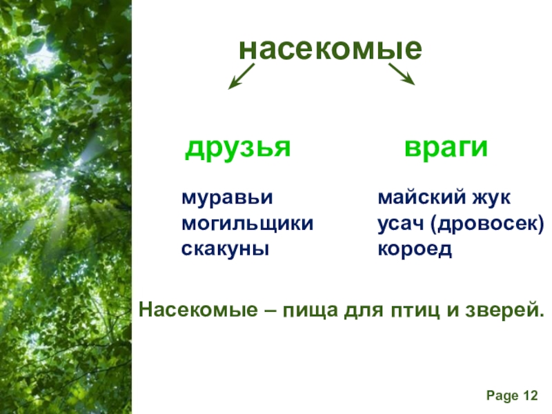 Презентация насекомые леса 2 класс начальная школа 21 века