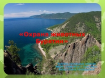 Презентация по Окружающему миру