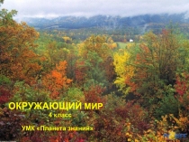 Презентация Поле - искусственное сообщество 4класс