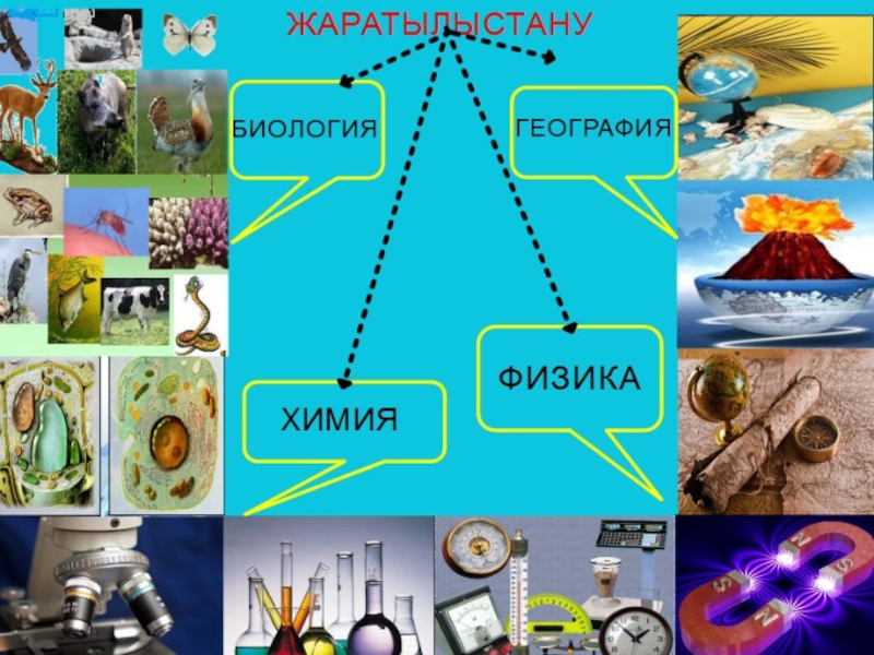 Физика и биология презентация