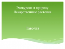 Презентация по развитию речи на тему Экскурсия в природу.Лекарственные растения. Таволга.